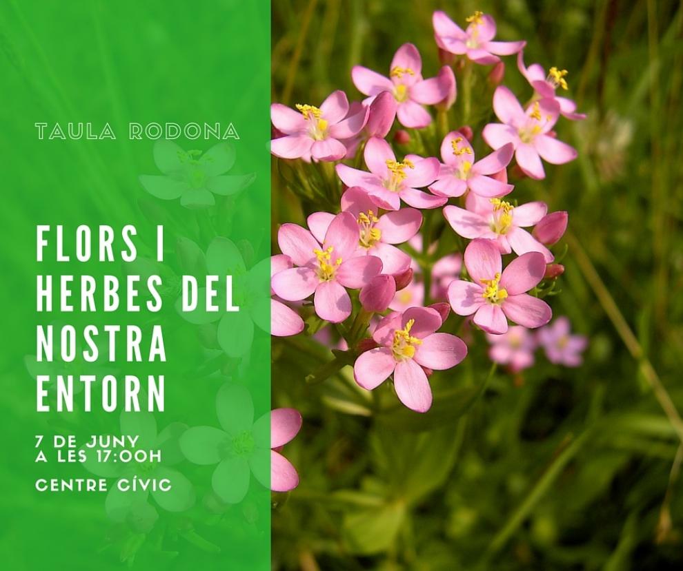 Taula rodona per parlar de flors i herbes aromàtiques i medicinals